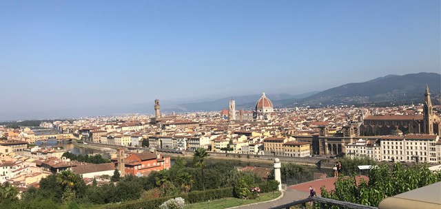 Panorama di Firenze dall'alto